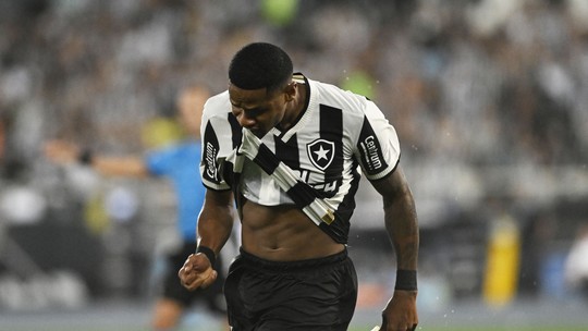 Júnior Santos decide de novo, e Botafogo respira na Libertadores - Foto: (André Durão / ge)