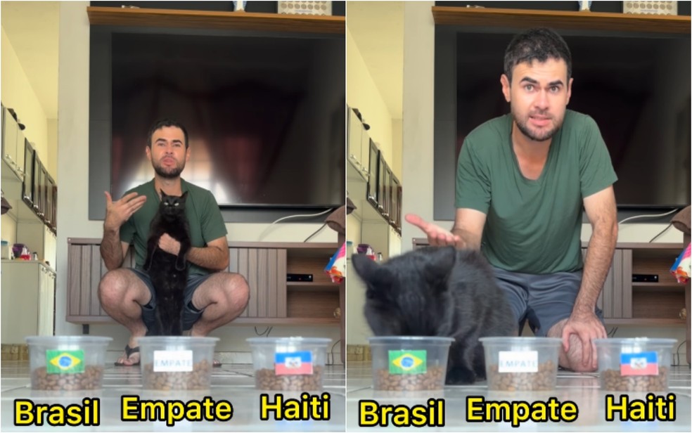 Em novo vídeo, Milu prevê vitória do Brasil sobre o Haiti — gato vidente Milu