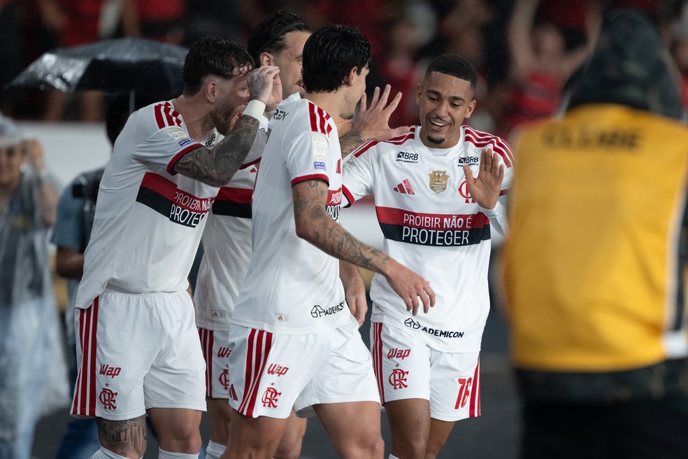 Vasco x Flamengo - Brasileirão - Nilton Santos — Foto: Jorge Rodrigues/AGIF
