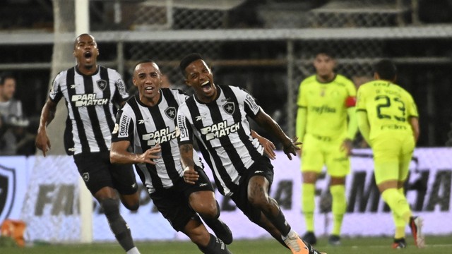 Botafogo x Palmeiras: Tchê Tchê comemora