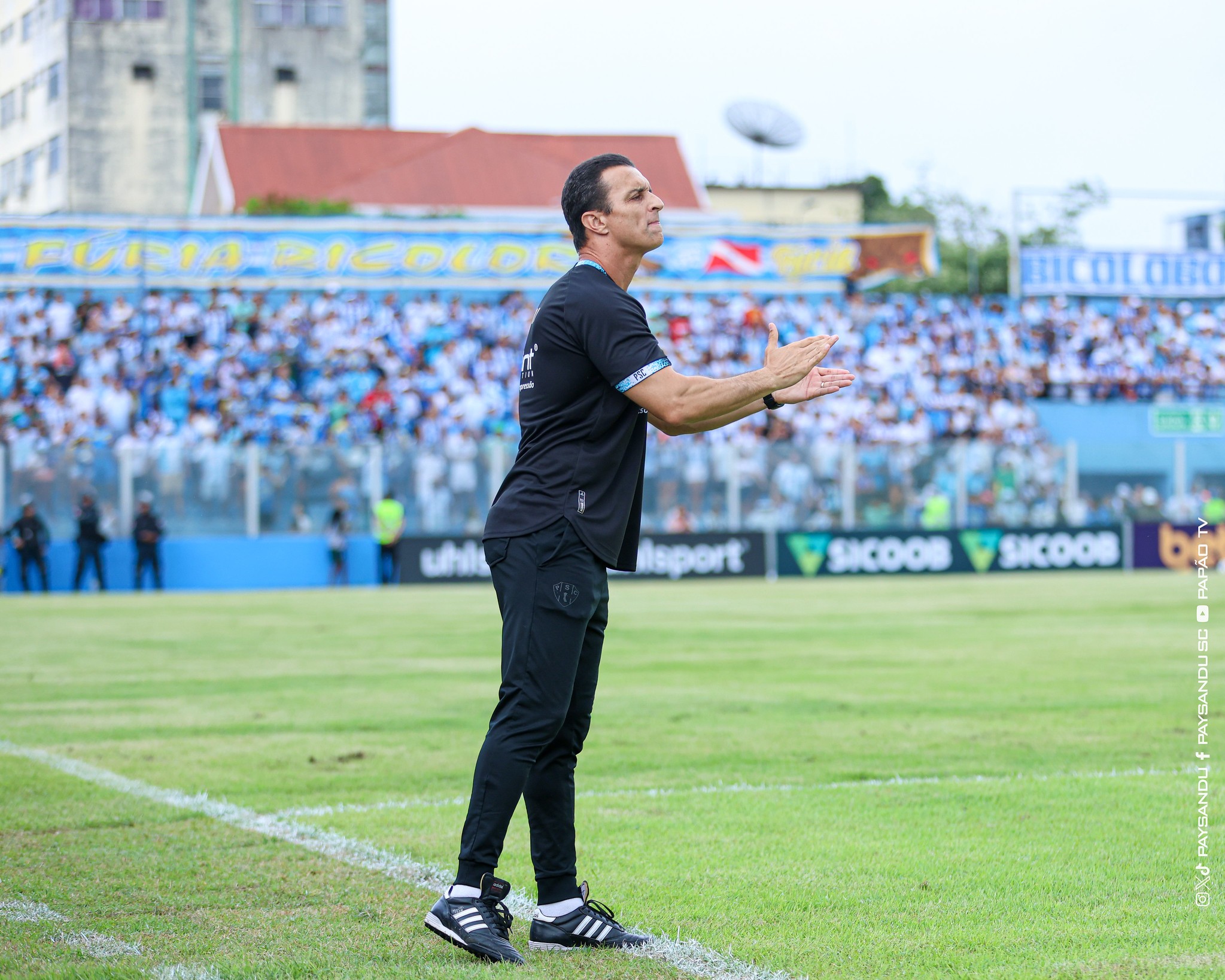 Paysandu se recupera na Série C com virada emocionante contra o Guarani