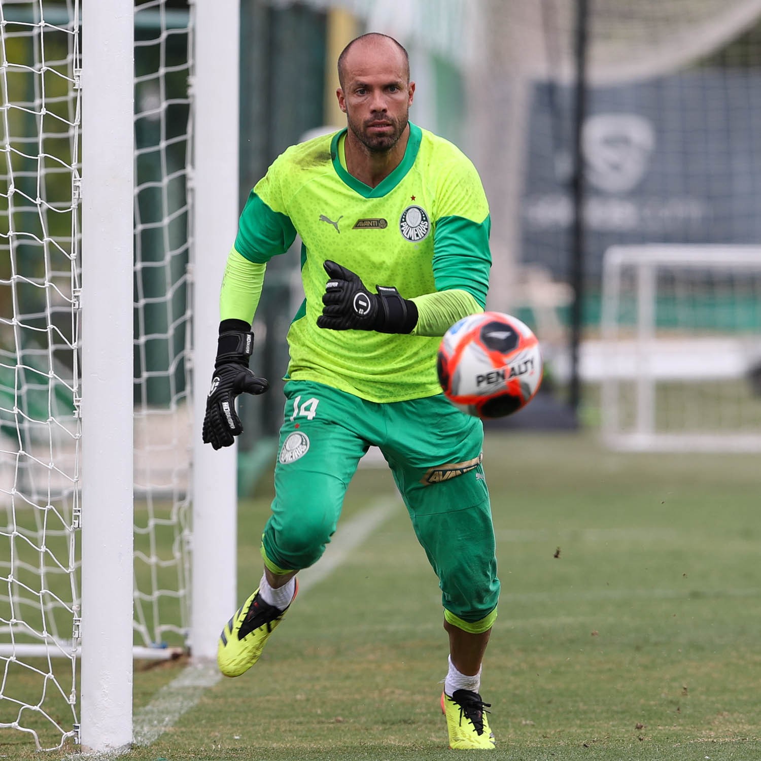 Palmeiras anuncia renovação do contrato de Marcelo Lomba