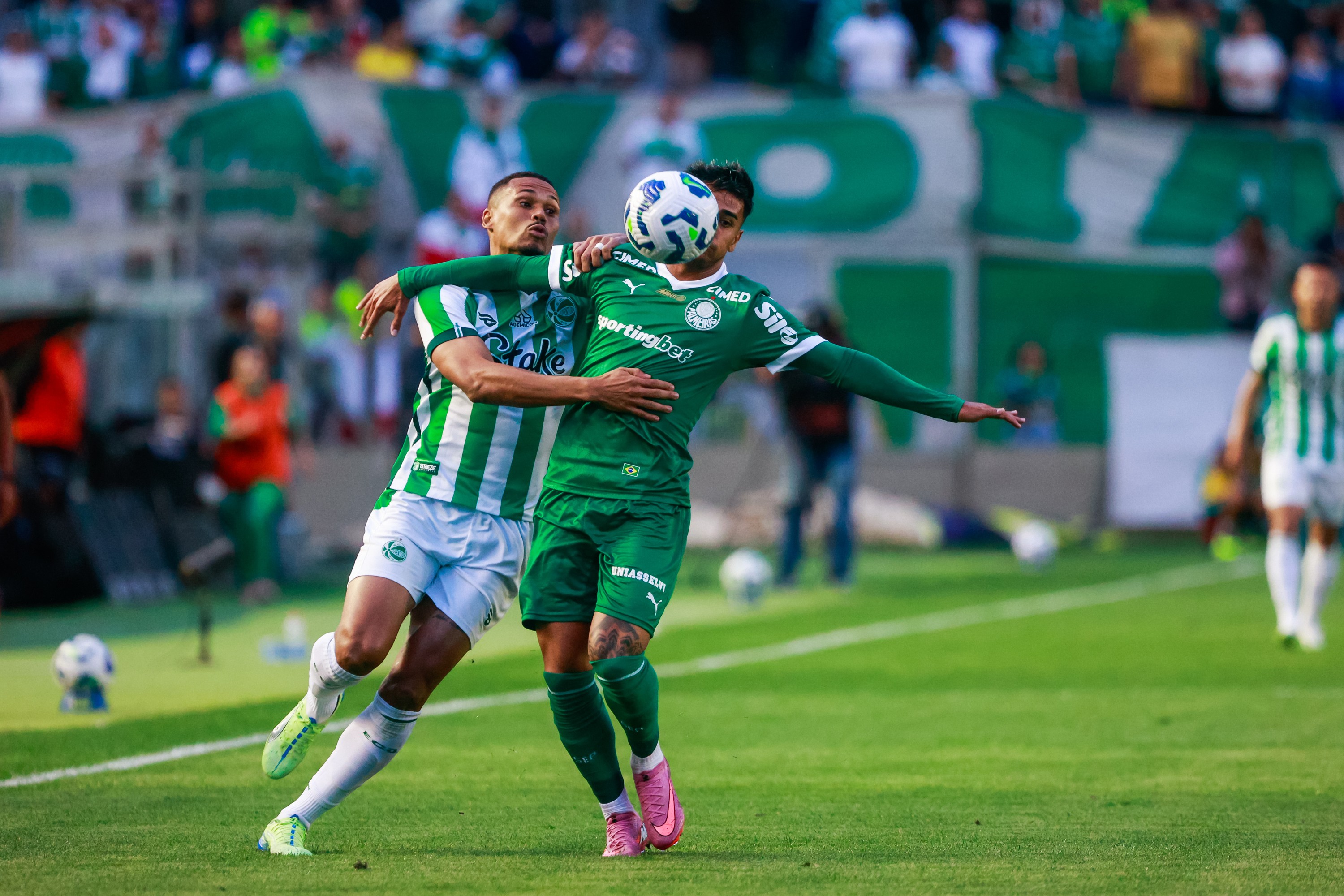 Palmeiras avança firme em busca do título, líder não admite erros e pressiona elenco