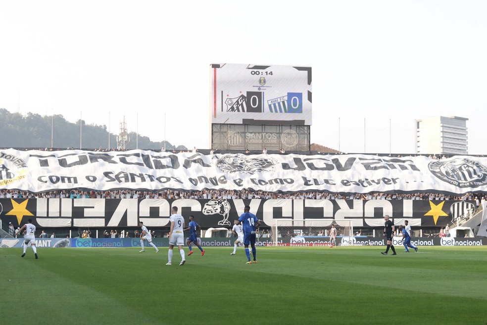 Torcida do Santos contra o Avaí na Vila Belmiro — Foto: Reinaldo Campos/AGIF