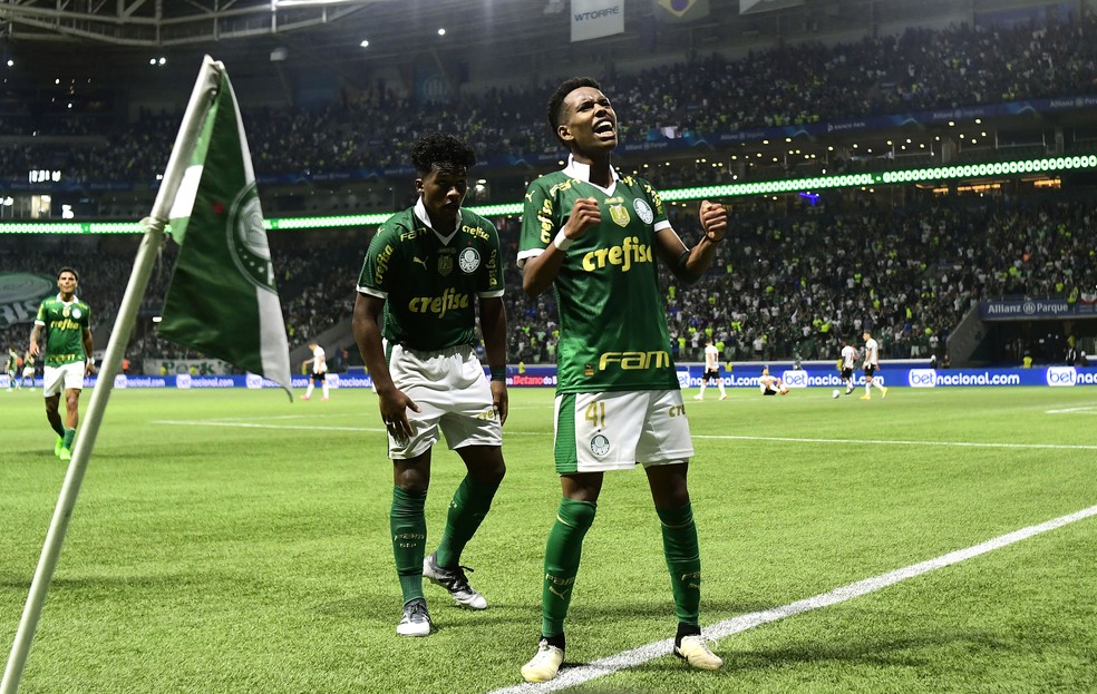 Palmeiras x Botafogo-SP, comemora��o do gol de Est�v�o � Foto: Marcos Ribolli