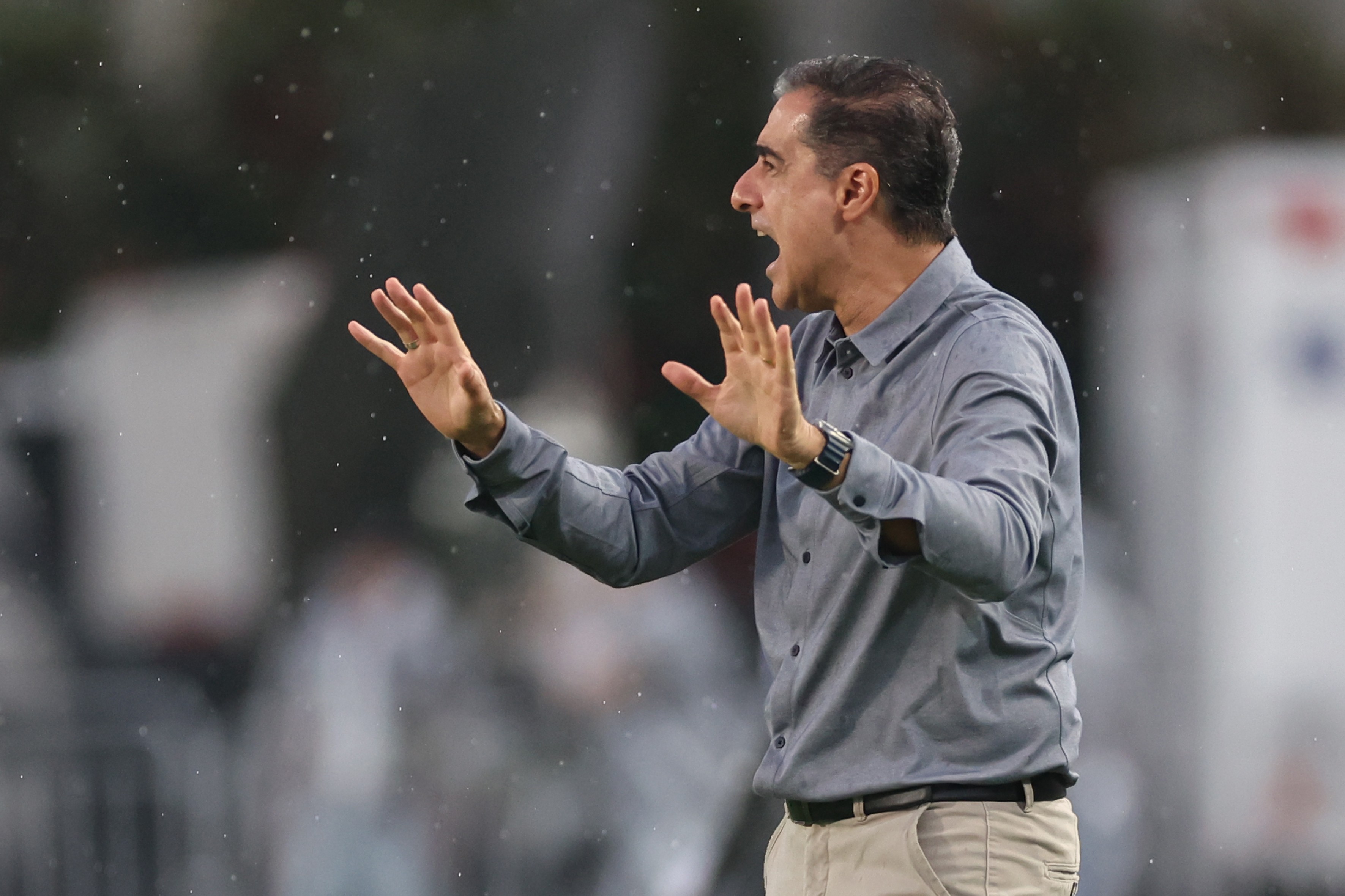 Renato Paiva vê pressão como natural no Botafogo: 