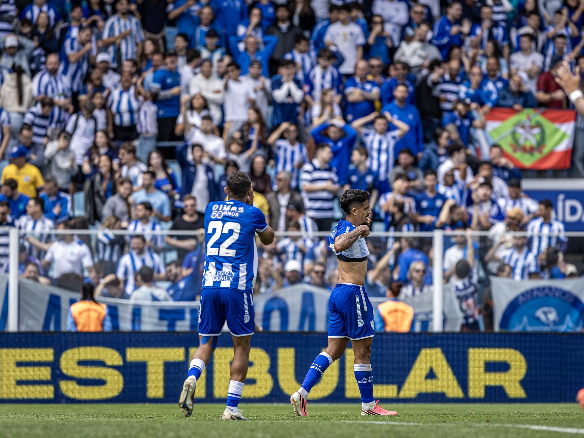 Avaí registra o maior número de derrotas em uma edição de Série B