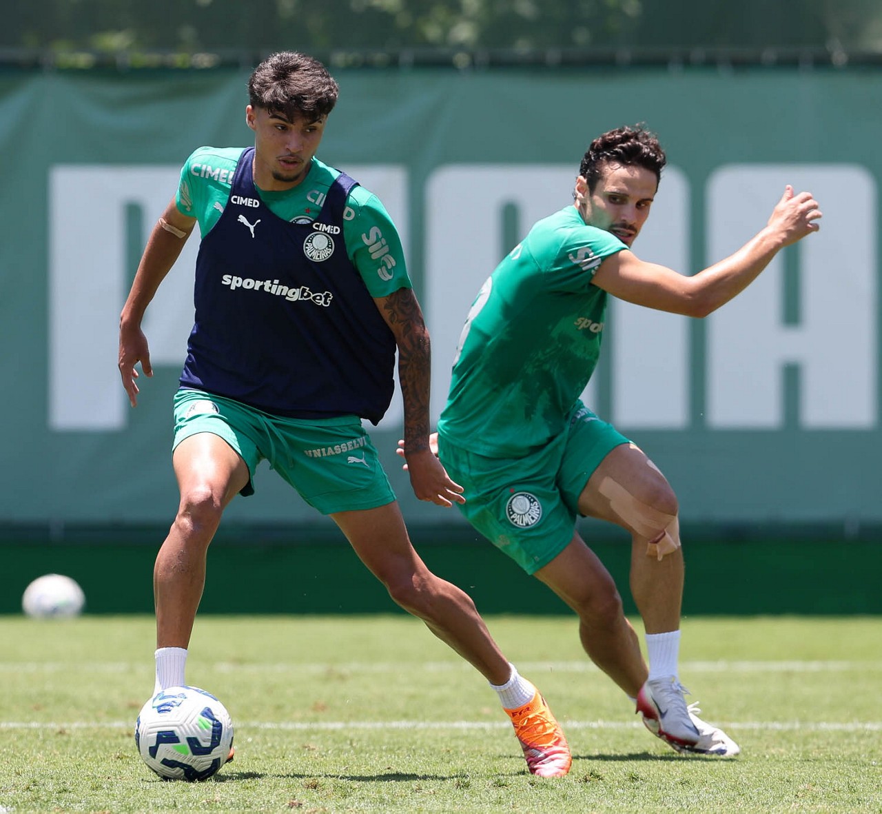 Abel Ferreira prepara espaço para garotos da base do Palmeiras no Paulistão; quem são os favoritos?