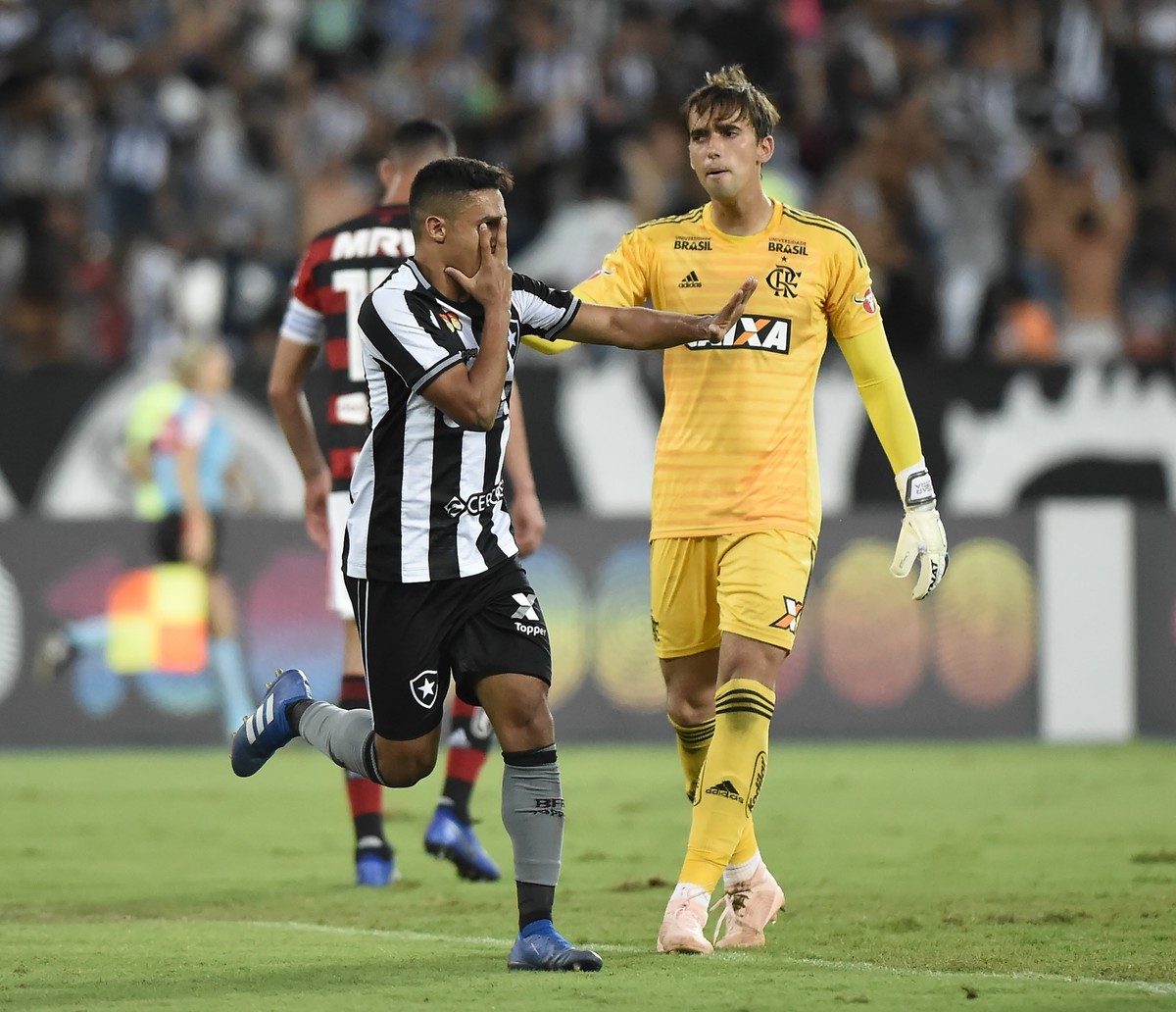 Brasileirão: Flamengo derruba 100% do líder Botafogo no Nilton Santos -  Placar - O futebol sem barreiras para você