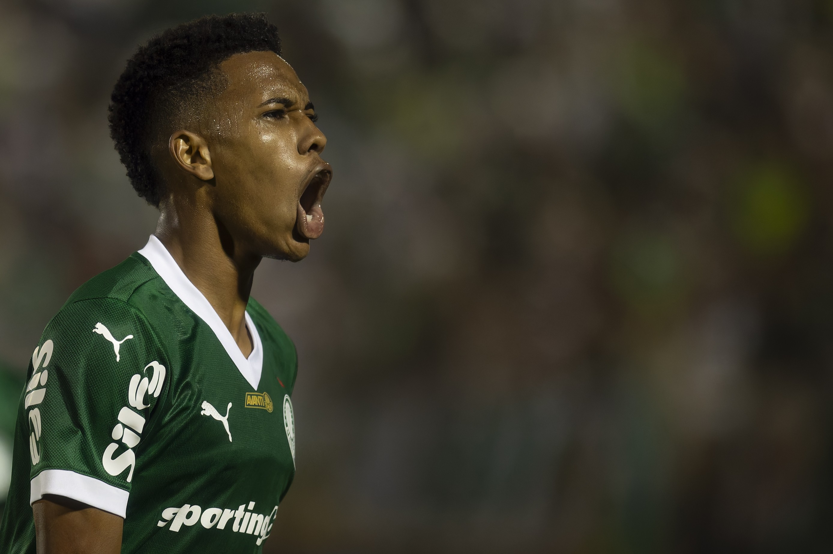Estêvão: Golaço e Gratidão ao Palmeiras na Classificação Decisiva.