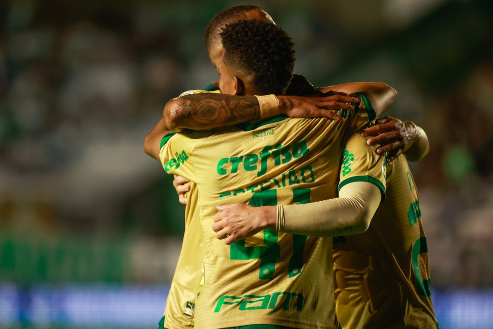 Jogadores do Palmeiras comemoram gol contra o Juventude  Foto: Luiz Erbes/AGIF