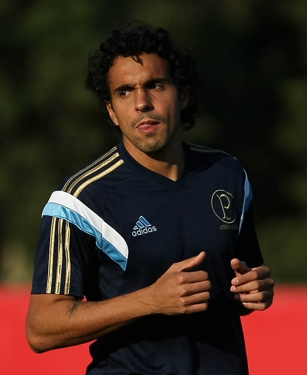 Diogo vestiu a camisa do Palmeiras em 2014 — Foto: Cesar Greco/Ag Palmeiras/Divulgação