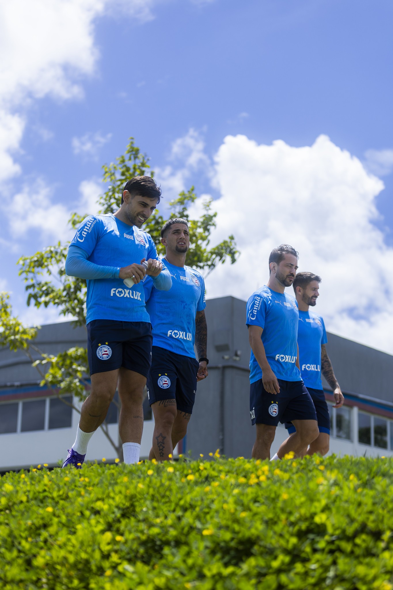 Veja relacionados do Bahia para jogo na Copa do Brasil contra o Remo | Ge