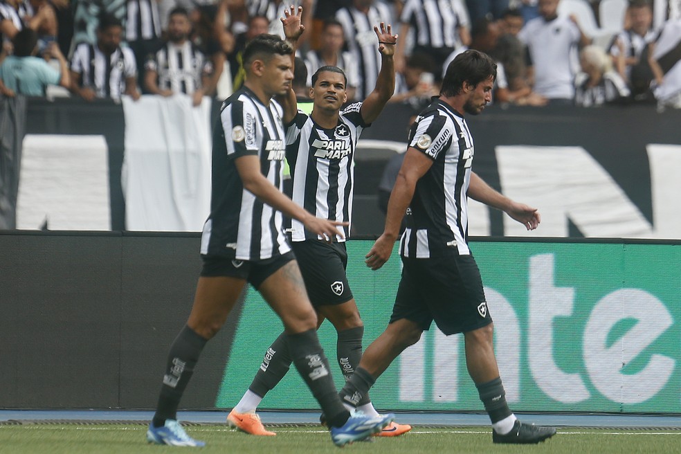 Com empate do Botafogo, Palmeiras confirma liderança do Brasileirão  restando quatro rodadas