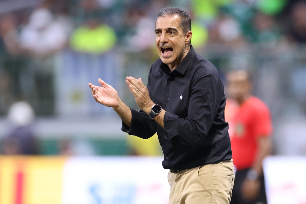 Renato Paiva em Palmeiras x Botafogo — Foto: Vítor Silva/Botafogo