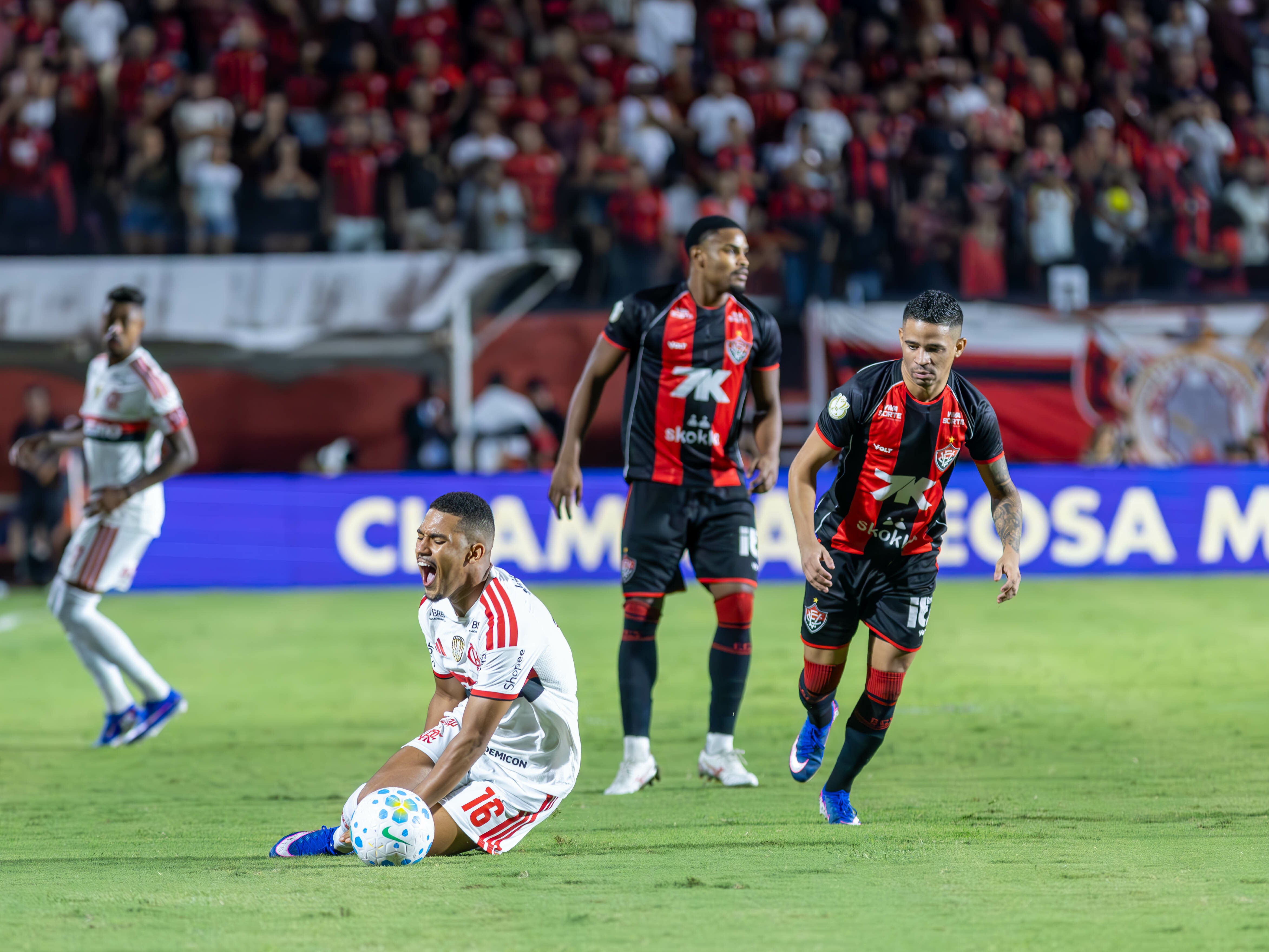 imagem