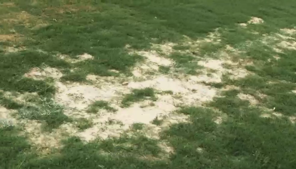 Imagens exclusivas do CT de Cotia — Foto: Reprodução