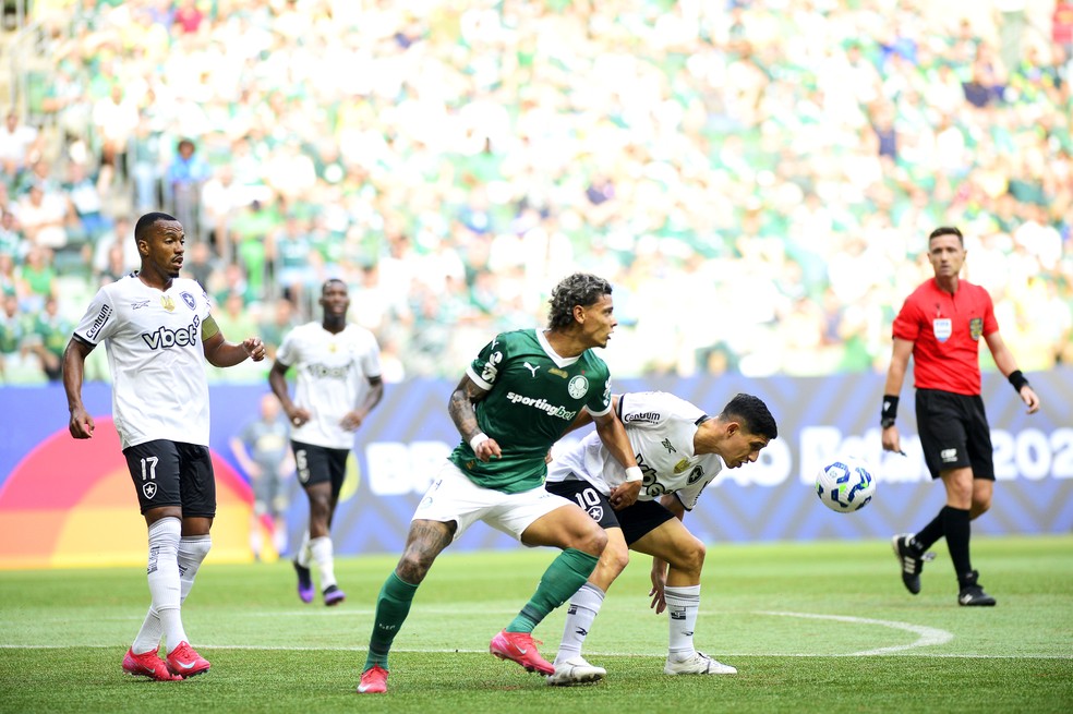 Palmeiras x Botafogo: onde assistir