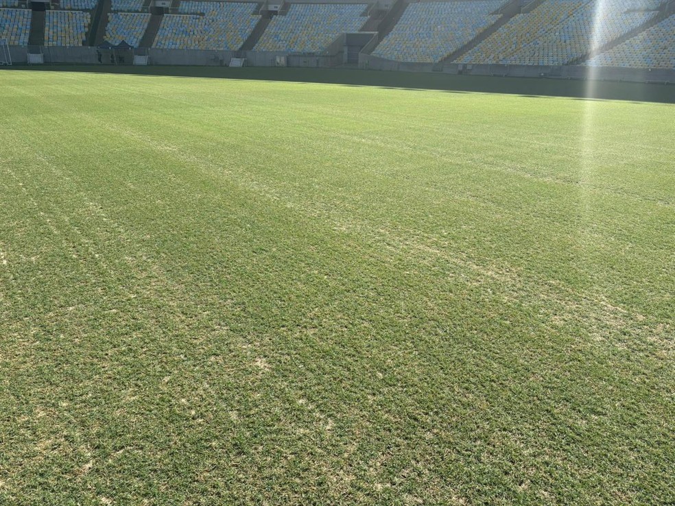 Fase 2 da manutenção do gramado do Maracanã — Foto: Reprodução