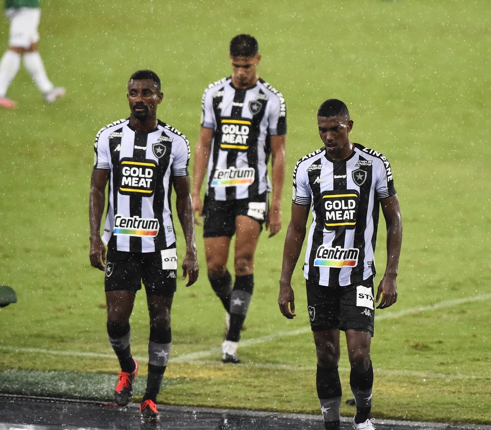 Jogadores do Botafogo no confronto com o Sport, no Nilton Santos — Foto: André Durão