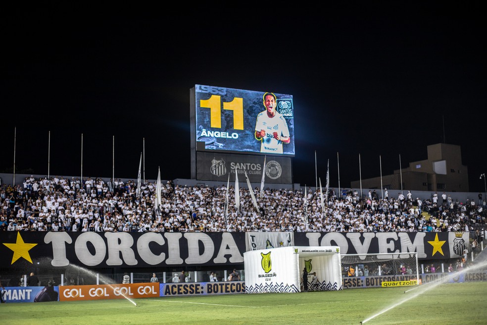 Torcida na Vila Belmiro em Santos x Palmeiras — Foto: Abner Dourado/AGIF