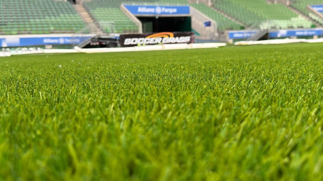 Palmeiras Pronto para Estreia no Allianz Parque: Elenco Destaca Qualidade do Novo Gramado Sintético