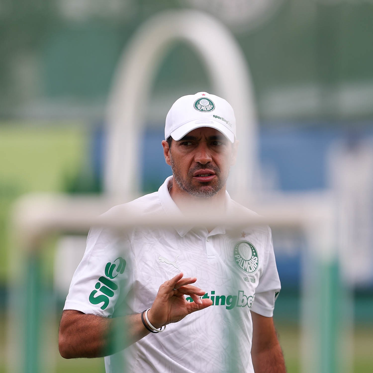Palmeiras Inscreve 50 Jogadores para Disputa da Libertadores: Lista Oficial Divulgada.