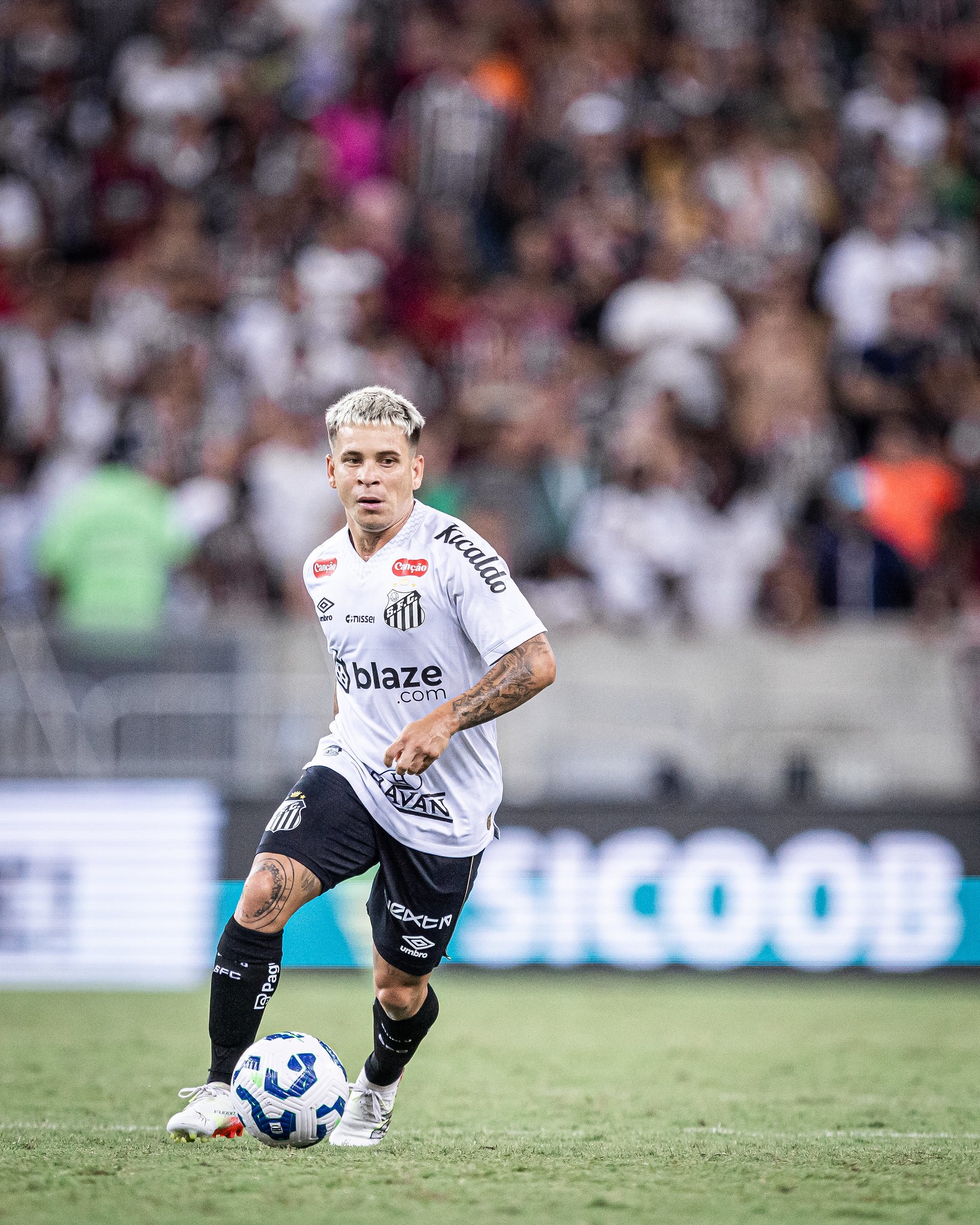 Fluminense acerta a contratação de Soteldo, do Santos 
