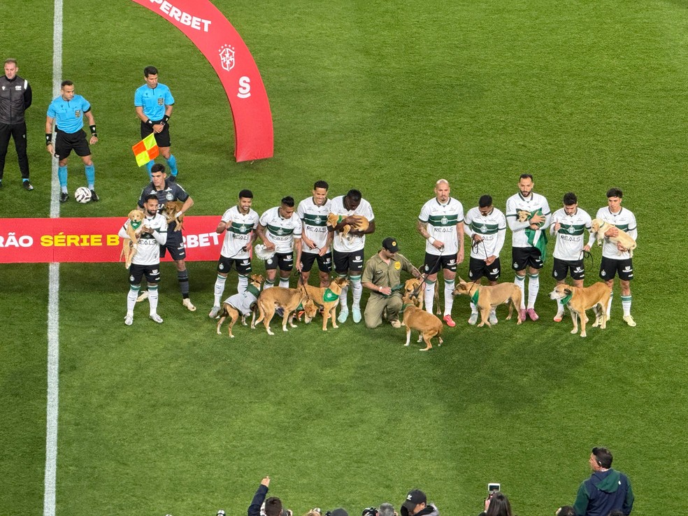 Elenco do Coritiba entra em campo com cães para incentivar adoção — Foto: Guto Marchiori