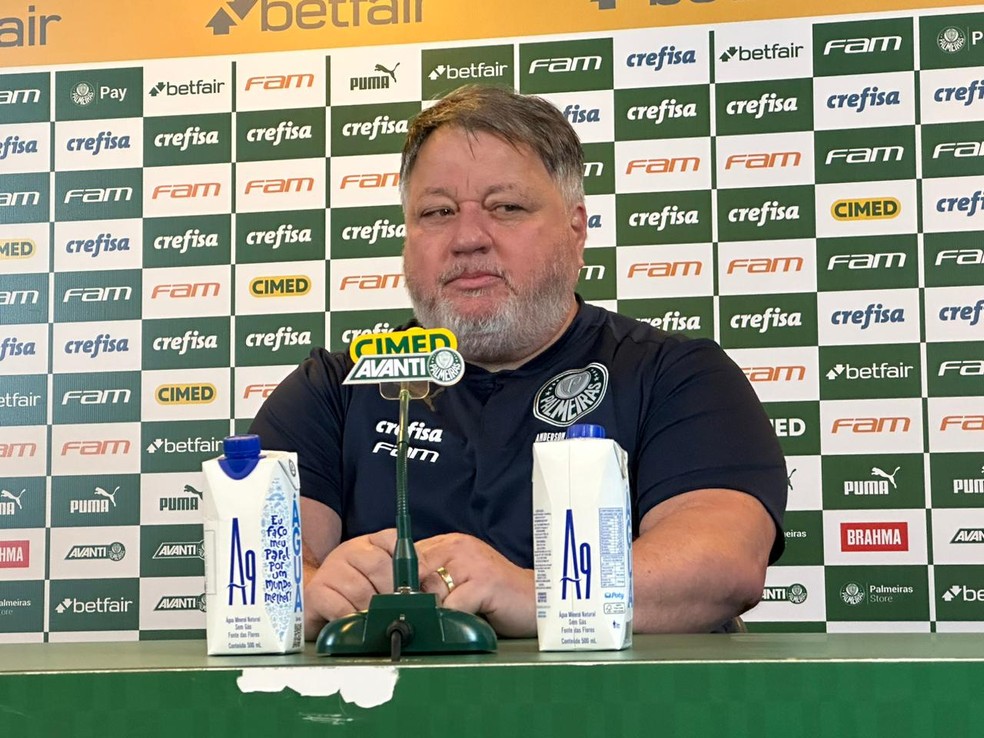 Anderson Barros, diretor de futebol do Palmeiras — Foto: Emilio Botta