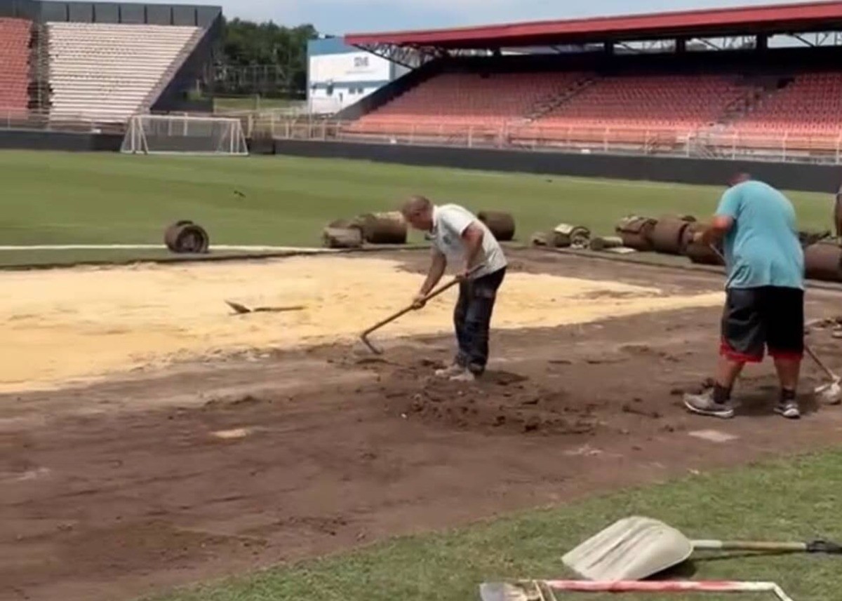 Gramado do Novelli Júnior passa por nova etapa de revitalização para 2027