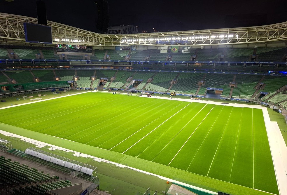 Novo gramado do Allianz Parque entra na fase final de instalação — Foto: Reprodução