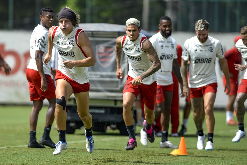 David Luiz e Pedro em treino do Flamengo &mdash; Foto: Marcelo Cortes/Flamengo