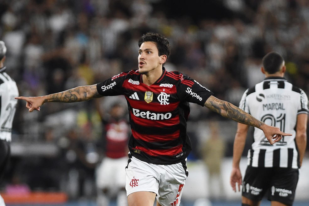 Pedro comemora gol do Flamengo no Nilton Santos — Foto: André Durão