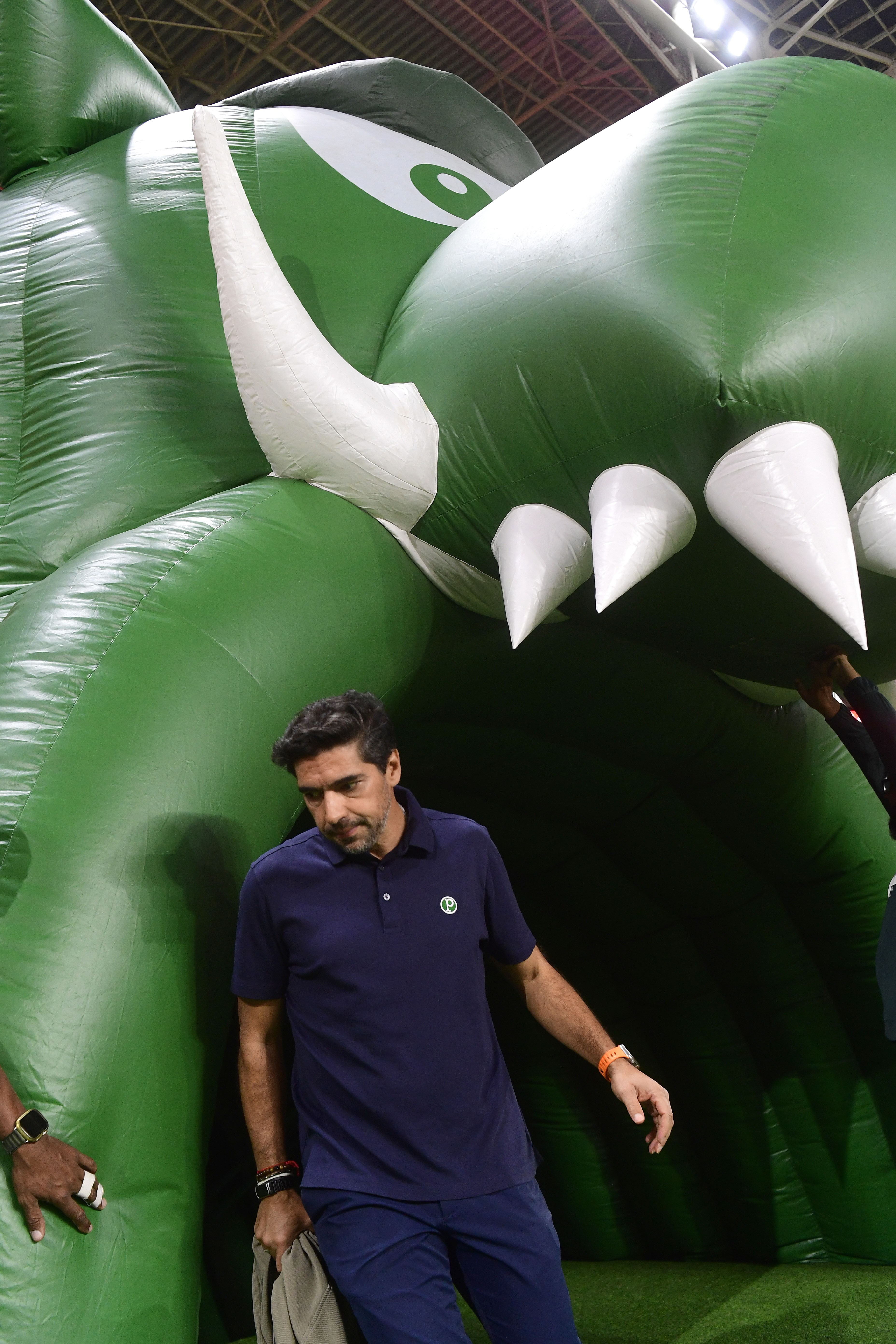 Imagem da partida Mirassol x Palmeiras