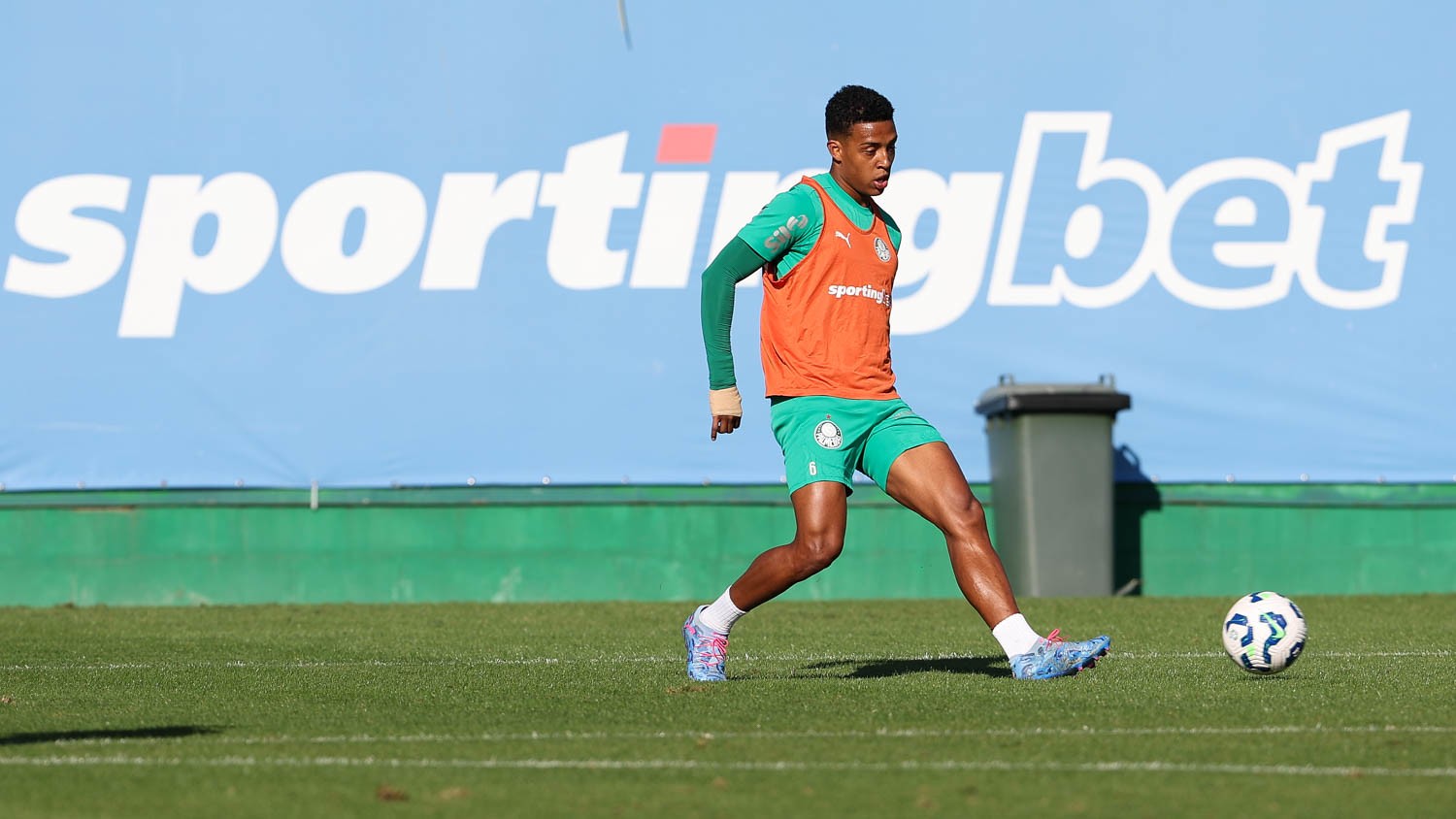 Adeus no Allianz? Vanderlan perto de deixar o Verdão e Leila fala sobre Abel 