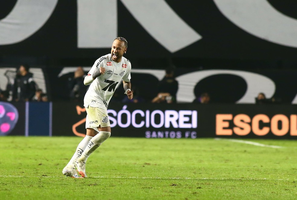 Gol de Neymar em Santos x Flamengo — Foto: Mauricio De Souza/AGIF