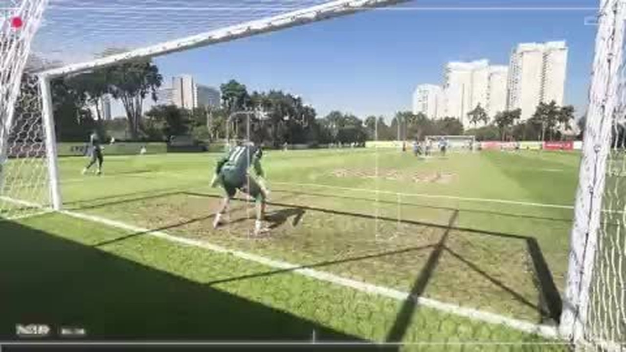 Veja novo equipamento que mudou o treino de goleiros do Palmeiras