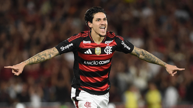 Pedro comemora gol em Flamengo x Vitória (Foto: Alexandre Durão)
