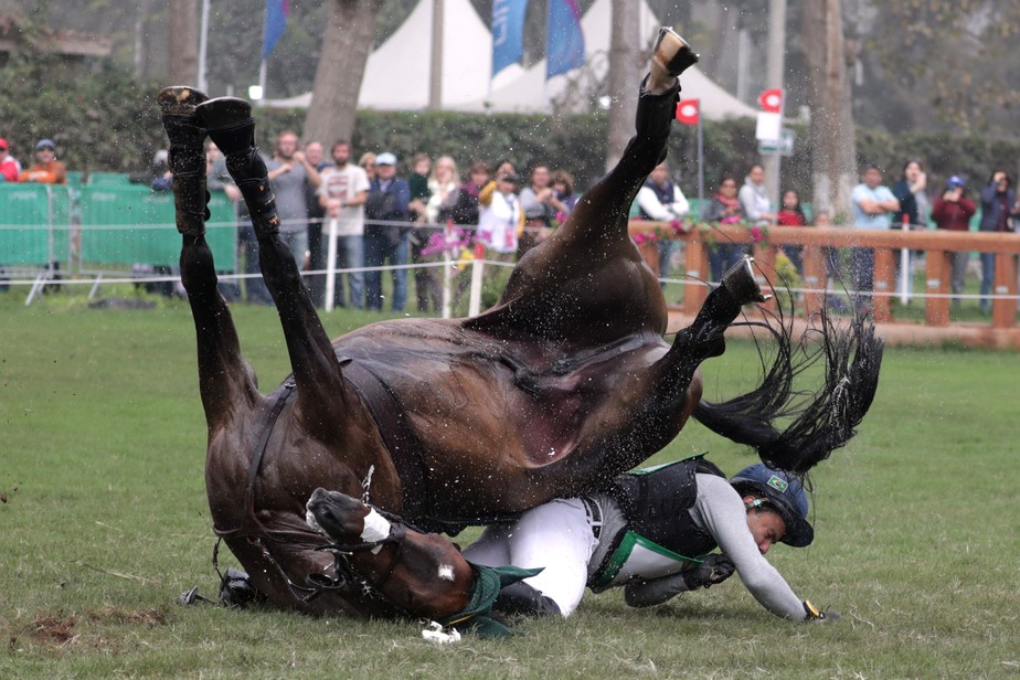 Cavalos nos Jogos Olímpicos, uma dança entre a liberdade e a saúde