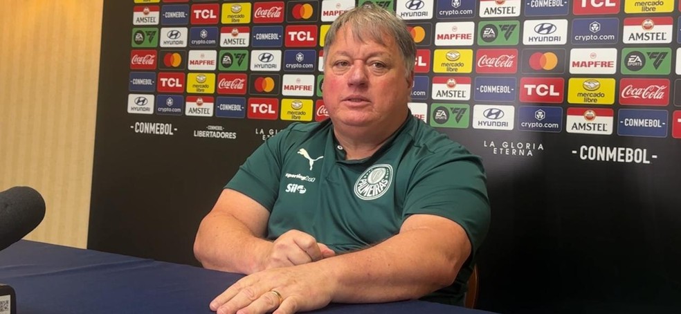 Anderson Barros, diretor do Palmeiras, durante entrevista ao ge — Foto: Thiago Ferri