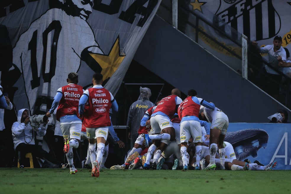 Elenco do Santos comemora gol contra o Vasco — Foto: Ettore Chiereguini/AGIF