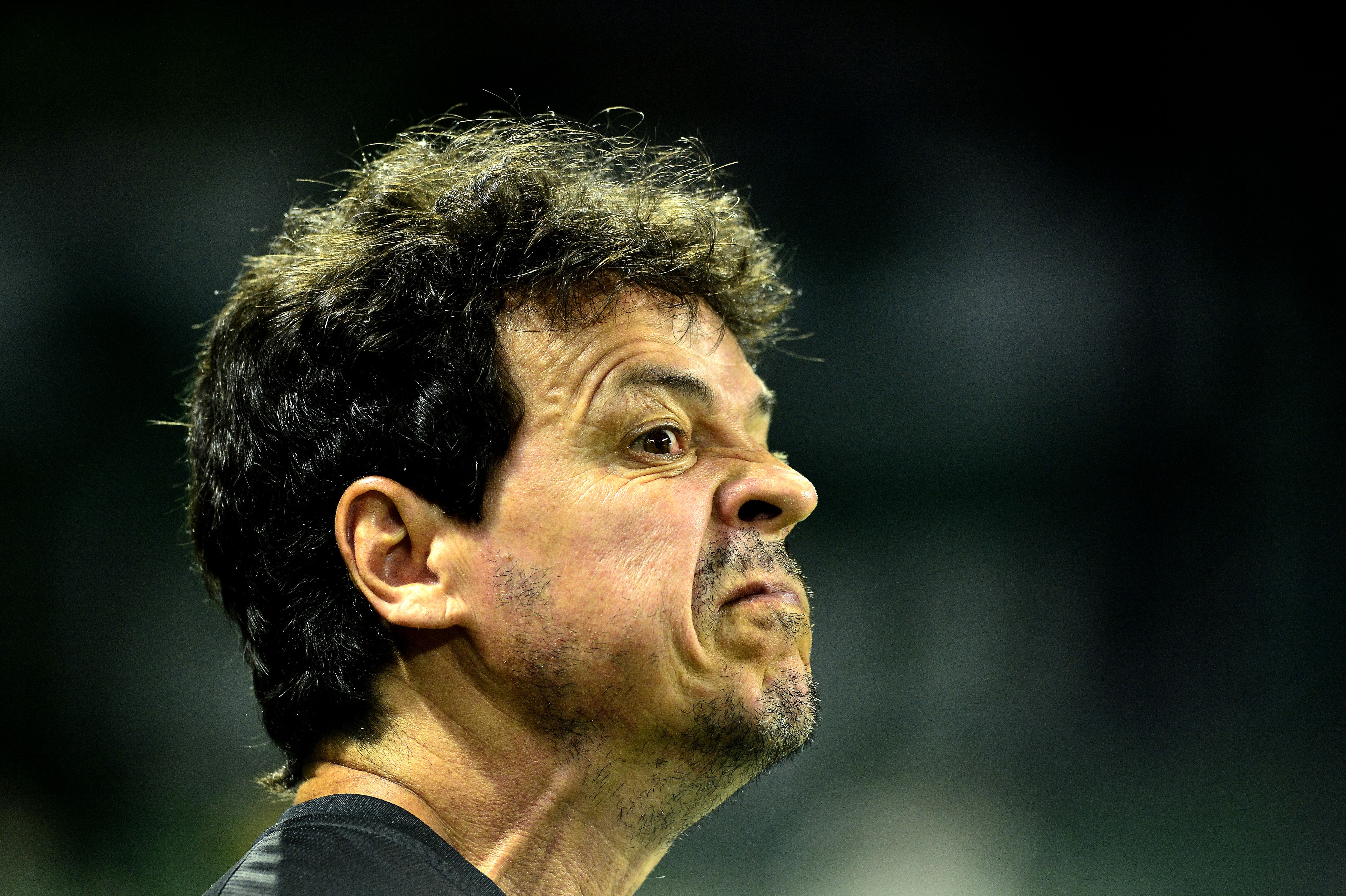 Diniz critica marcação contra o Palmeiras e diz que Vasco não pode se abalar: 