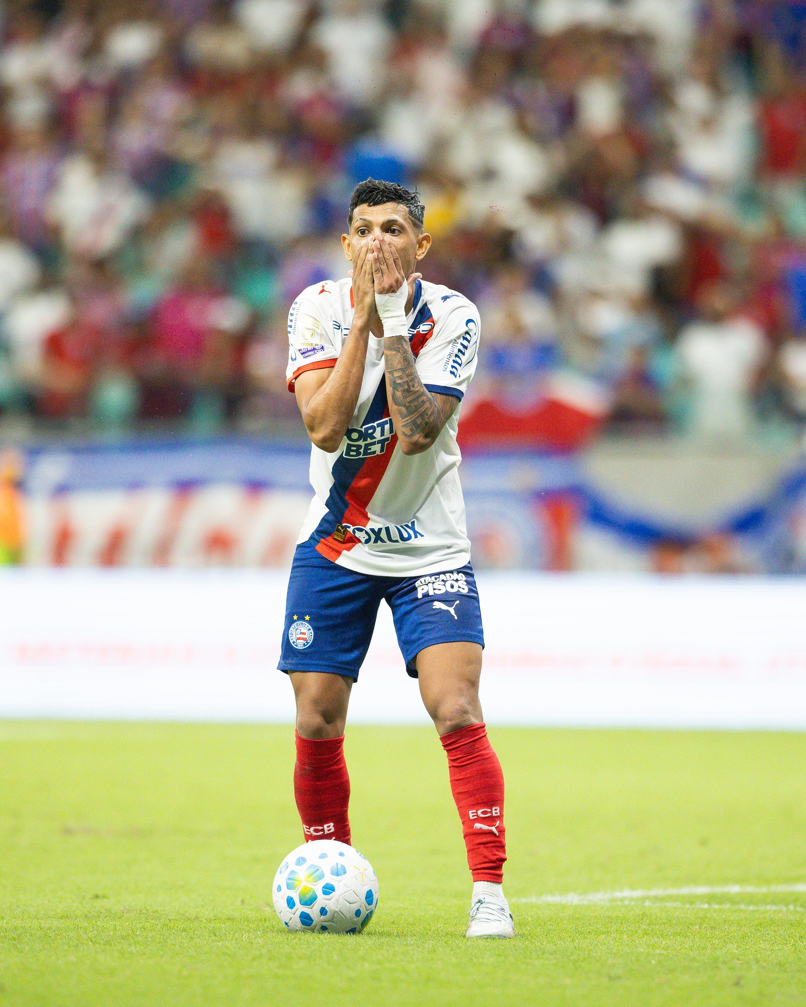 imagem