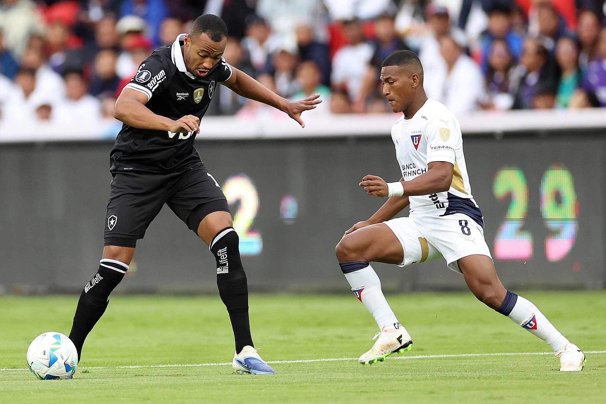 Marlon Freitas lamenta eliminação do Botafogo: "Assumo a responsabilidade"