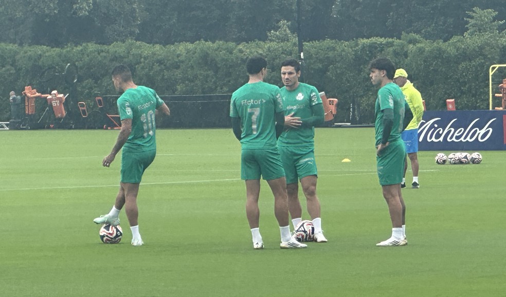 Paulinho em treino do Palmeiras na Filadélfia — Foto: Thiago Ferri