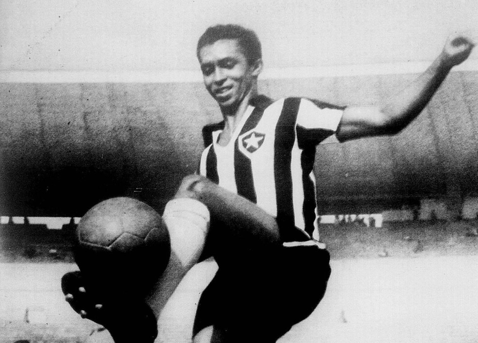 Quarentinha em ao pelo Botafogo  Foto: Reproduo