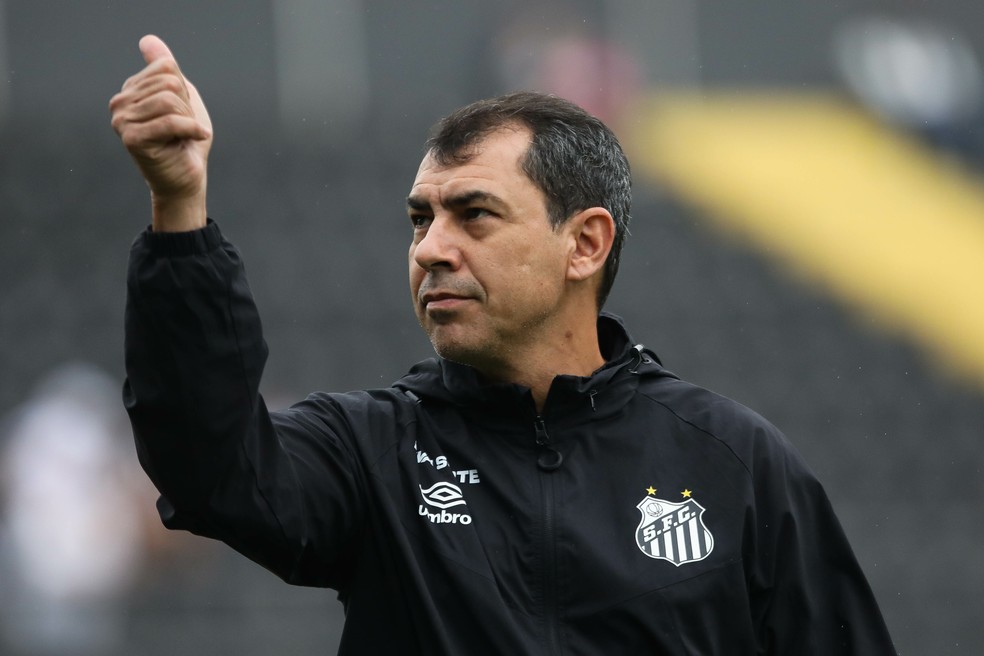 Fábio Carille em Santos x América-MG — Foto: Reinaldo Campos/AGIF