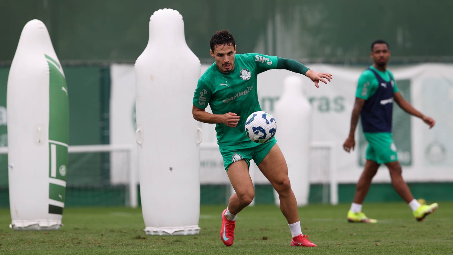 Veiga atinge marca de 350 jogos pelo Palmeiras e mira Copa de Clubes