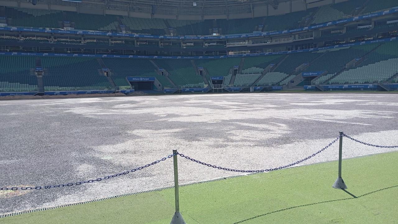 Gramado do Allianz Parque chega ao Brasil após longa viagem; veja como avança a obra no estádio do Palmeiras